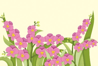 蝴蝶蘭插畫