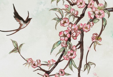 桃花插畫