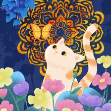治愈大黄猫咪