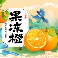 果凍橙包裝禮盒
