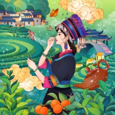 云南水果普洱茶插画