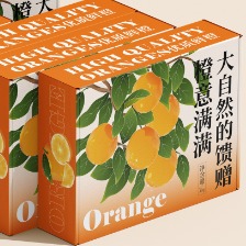 橙子插畫包裝