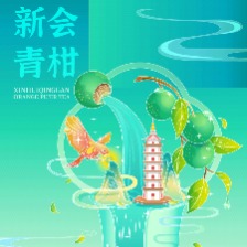 新會(huì)青柑茶插畫