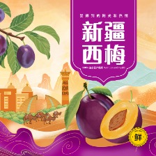 西梅包装礼盒