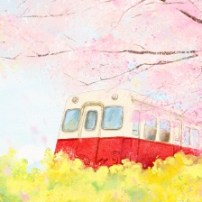 樱花下的梦幻列车
