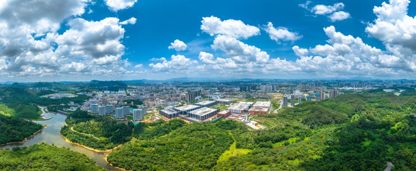 九龙山