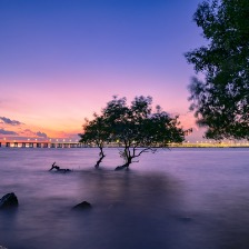 深圳西灣紅樹林