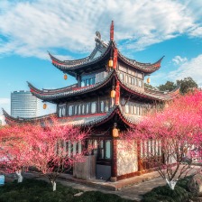 宁波月湖公园