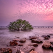 深圳鹽田港夜景