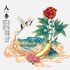 中藥材插畫