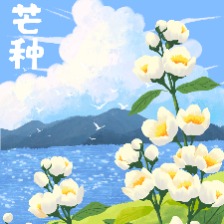 芒种