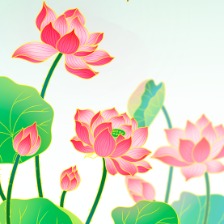 手绘荷花