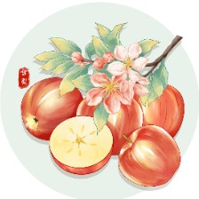蘋果插畫