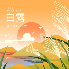 白露