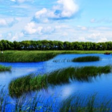 湿地风光摄影图