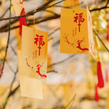 新年祝“福”