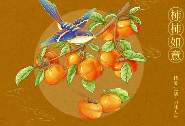 柿子插画