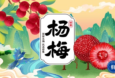 杨梅插画