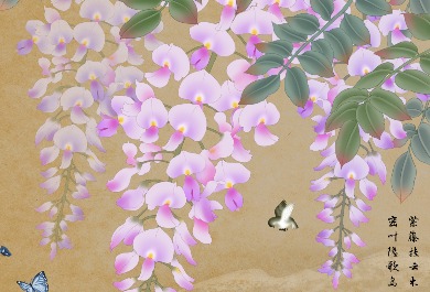 紫藤花插画