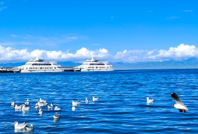 青海湖