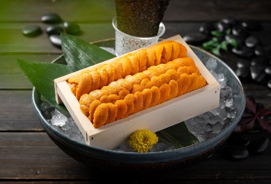 海胆
