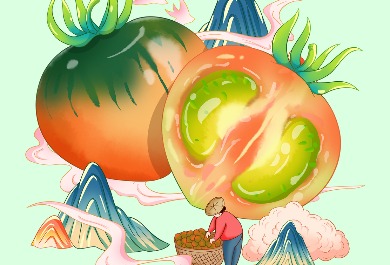 番茄插画