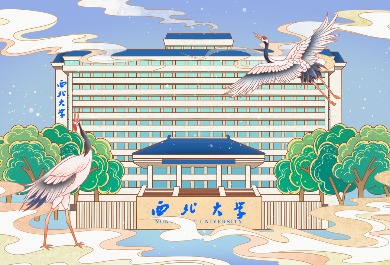 西北大学